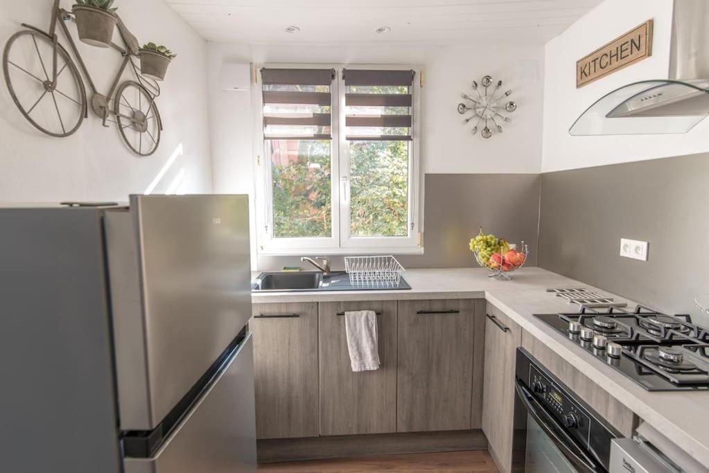 New L'Industr'Ill Au Coeur De L'Alsace Apartment ซิลิสตาต์ ภายนอก รูปภาพ