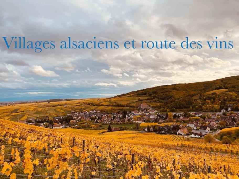 New L'Industr'Ill Au Coeur De L'Alsace Apartment ซิลิสตาต์ ภายนอก รูปภาพ