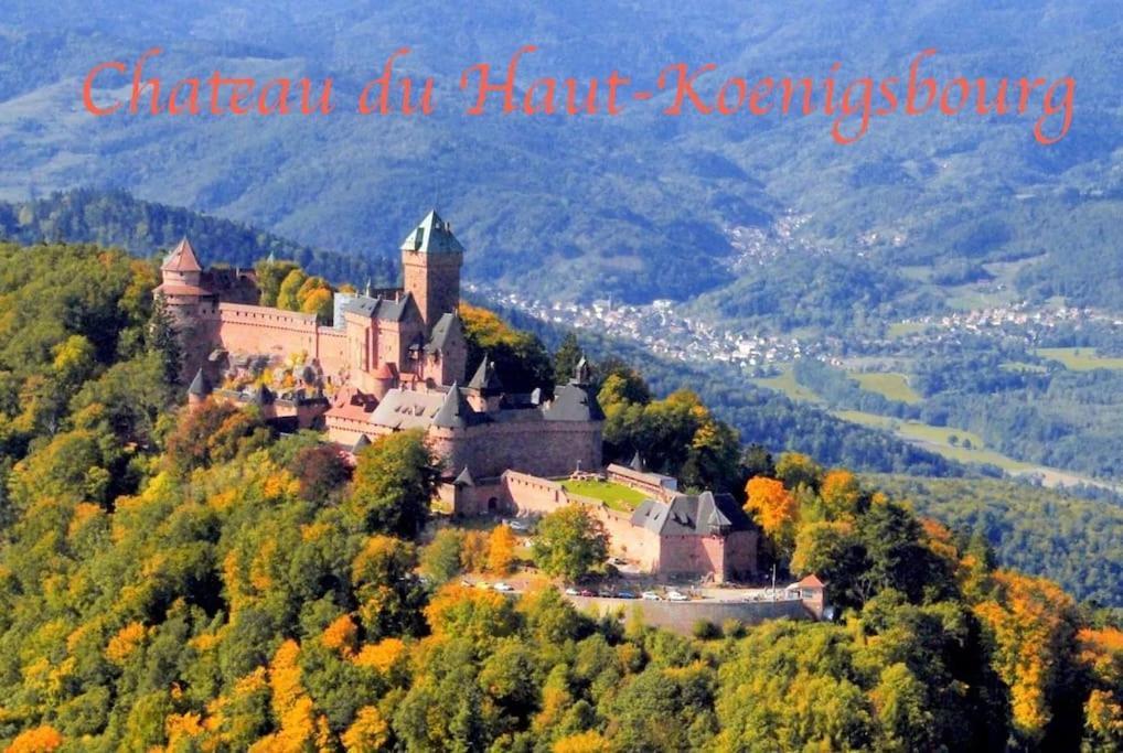 New L'Industr'Ill Au Coeur De L'Alsace Apartment ซิลิสตาต์ ภายนอก รูปภาพ